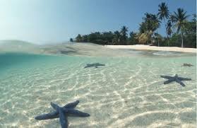 *Gazipasa Airport Transfer